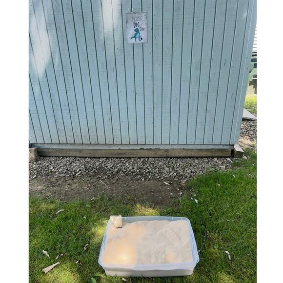 T-Rex Dino Birthday Party Pack: Decor, Favors & Tableware! - Picture 10 of 12